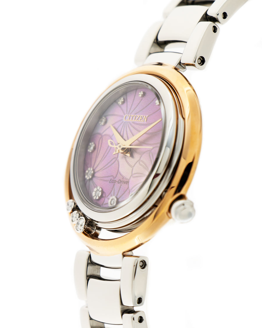 Arcly limited edition em1114-80y