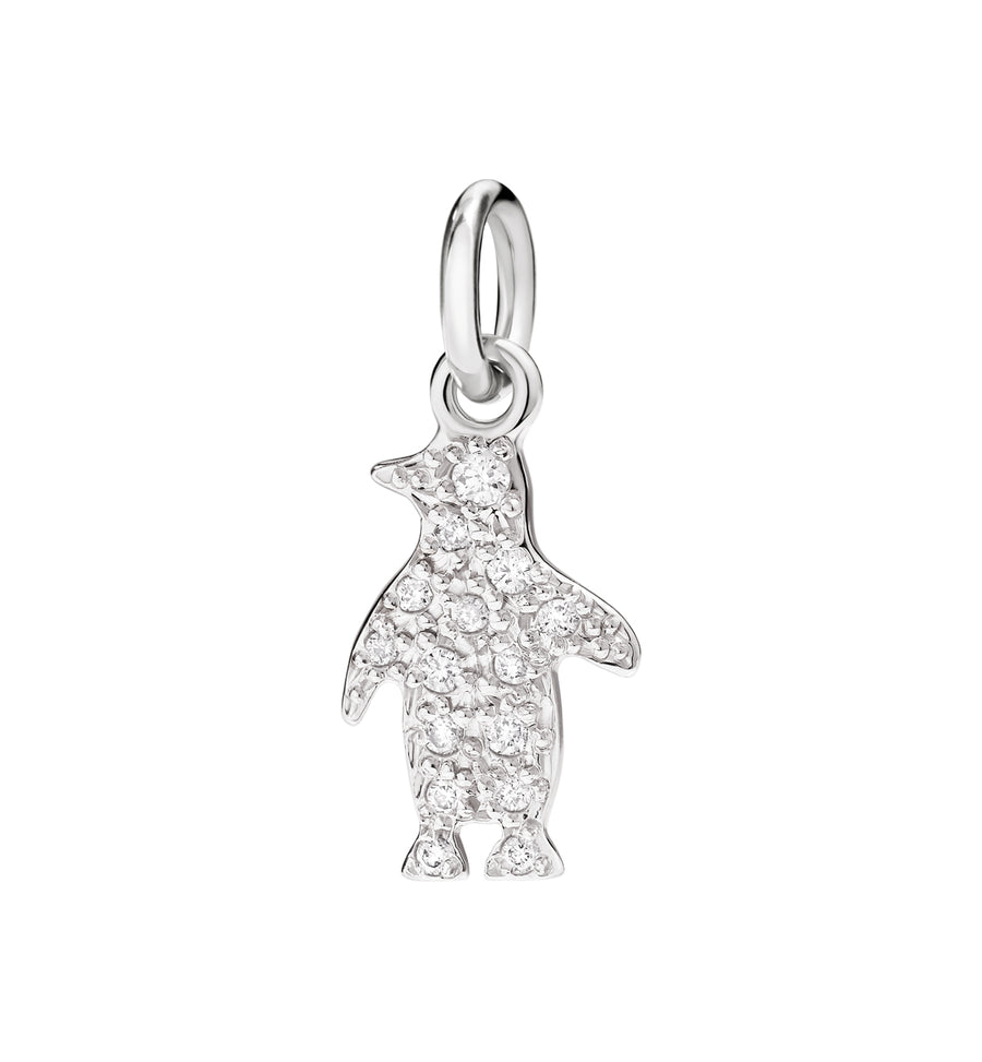 Charm pinguino dma8001pengsdb0ob