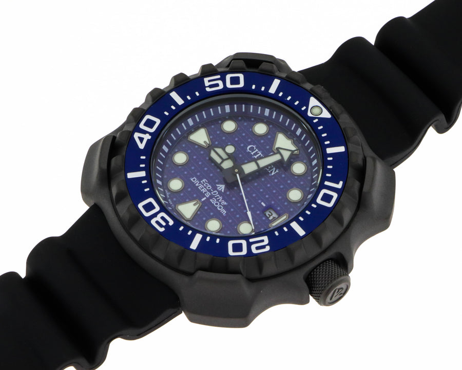 Whale shark limited edition bn0225-04l