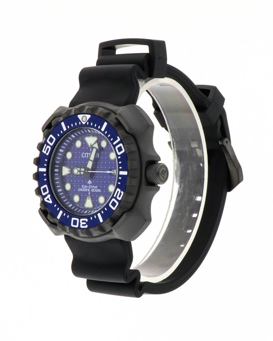 Whale shark limited edition bn0225-04l