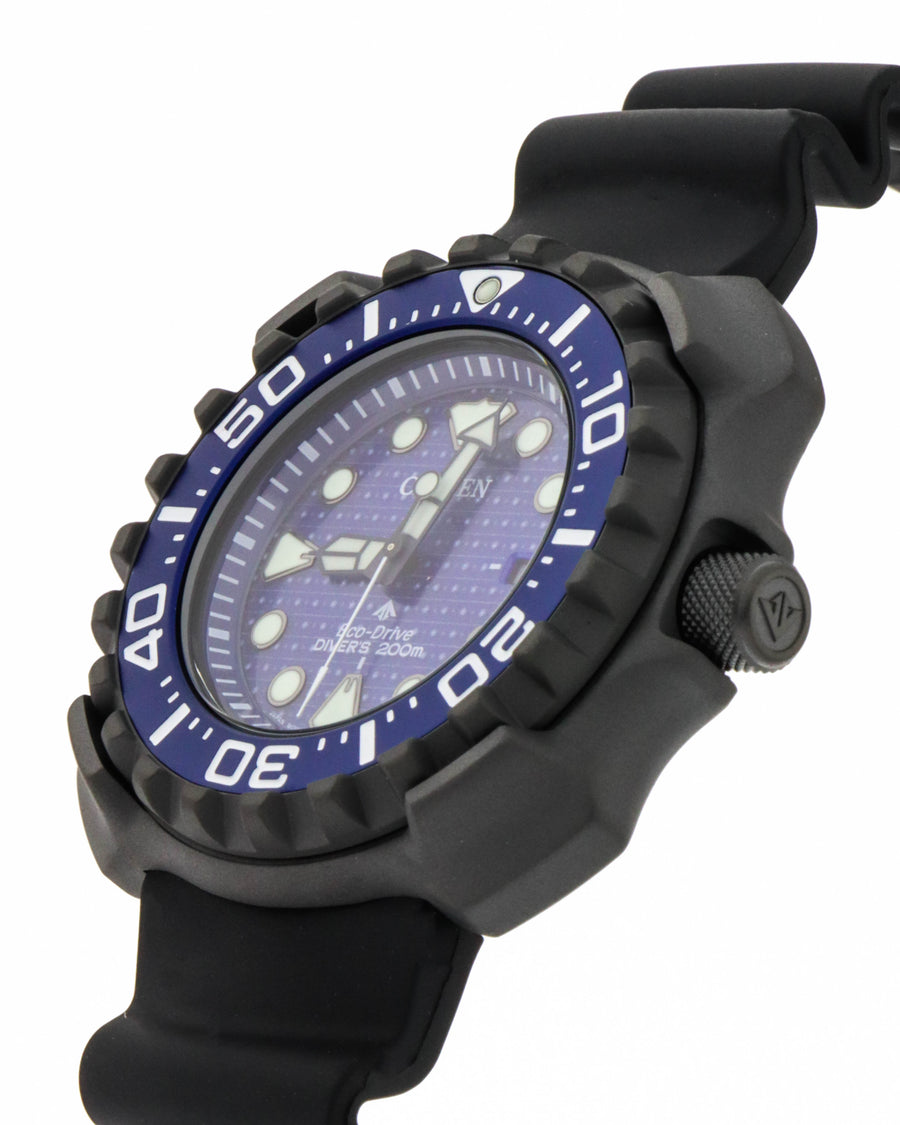 Whale shark limited edition bn0225-04l