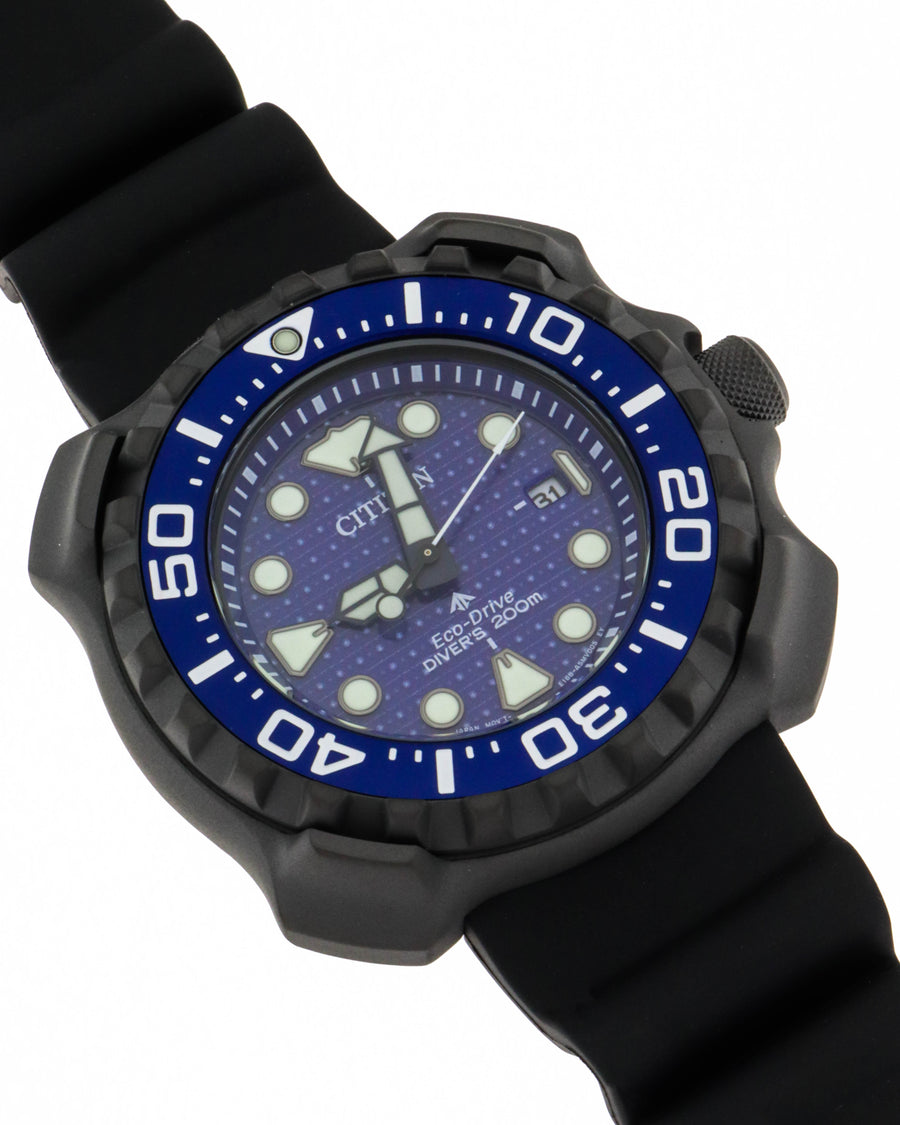 Whale shark limited edition bn0225-04l