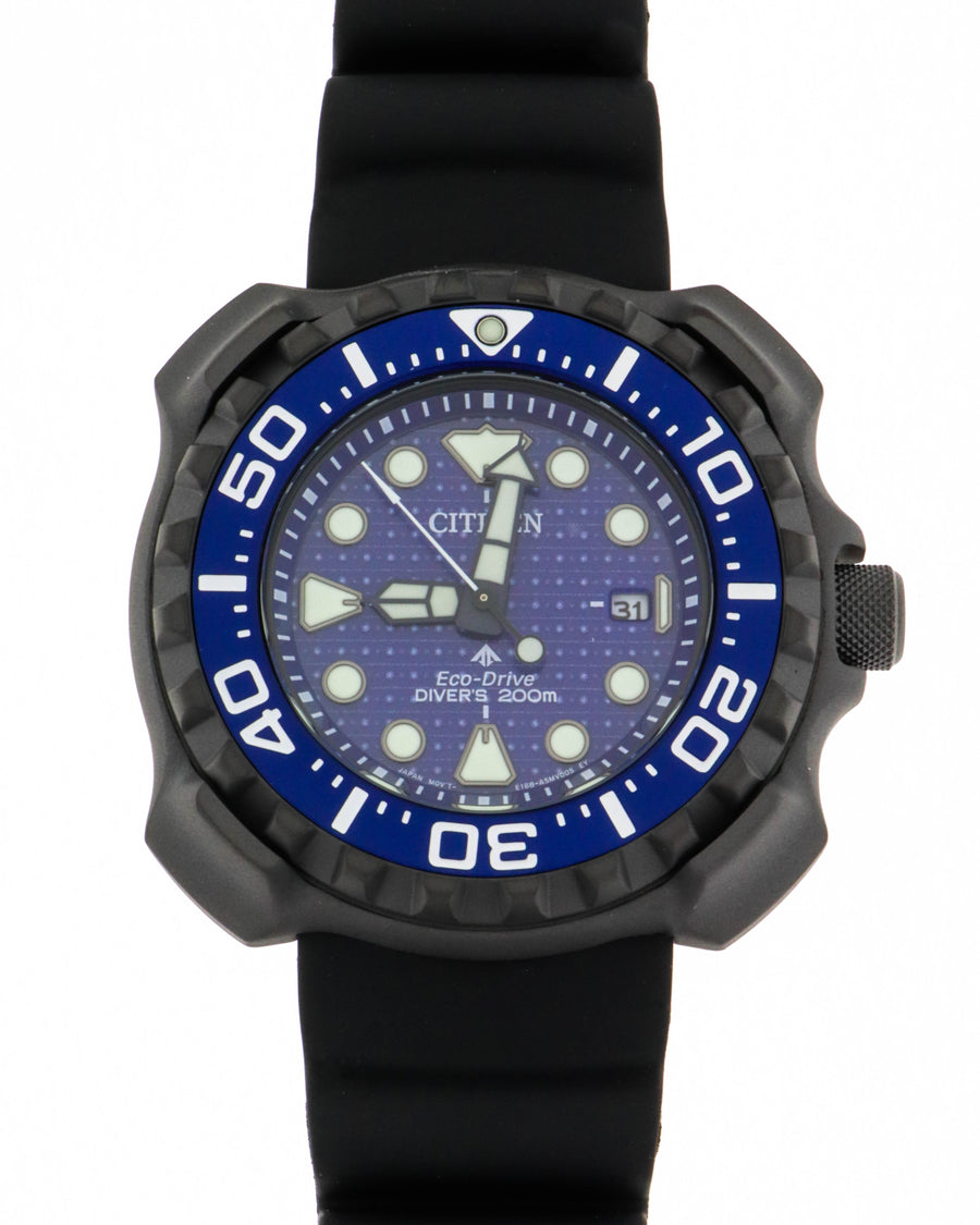 Whale shark limited edition bn0225-04l